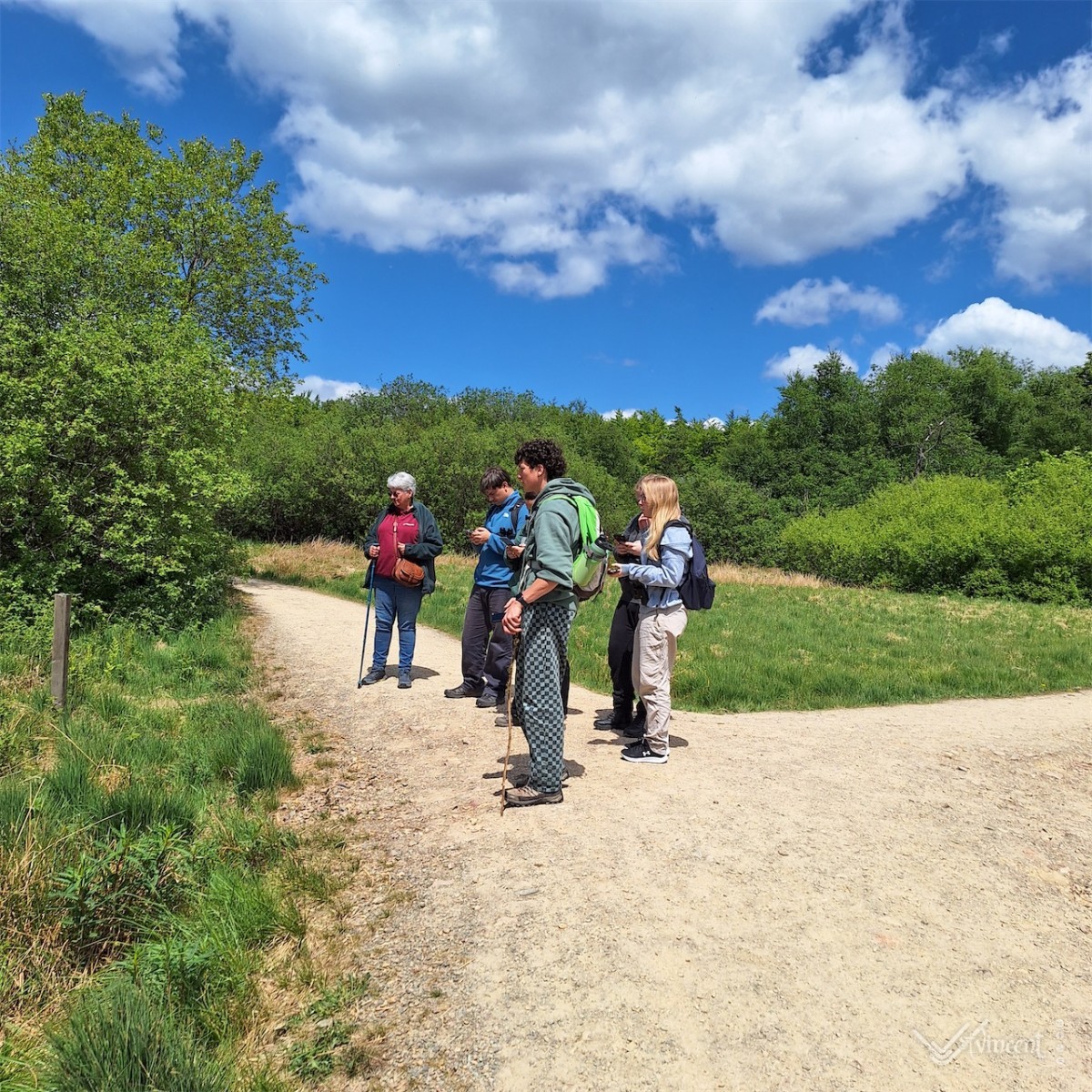 _____Stage_des_6e_biotechniques_dans_les_Hautes_Fagnes